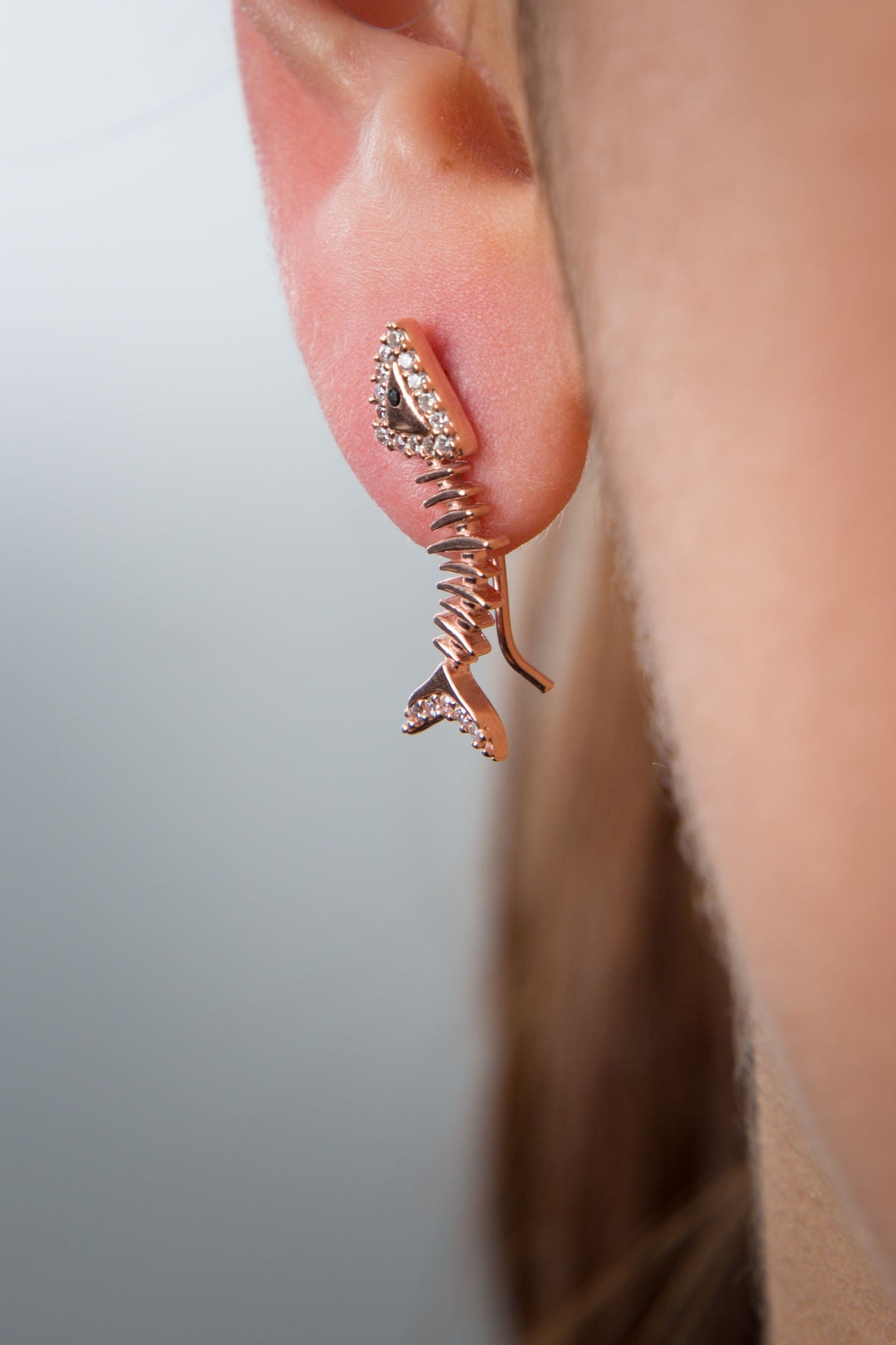 016df71199f89cd59e048c2d566738ed