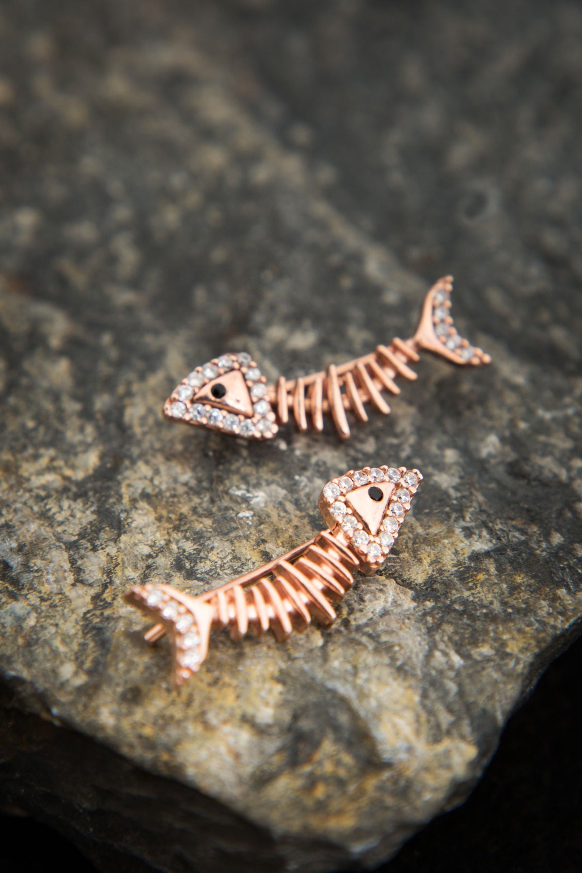 f31fcacff2a2006a8503a64954b87f30