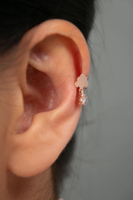 2c7177ad4f2977d6e99eae1957e4ee73