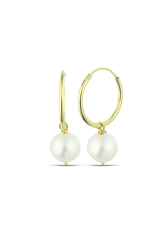 a561fc657013934b2d4bca37c11d305f