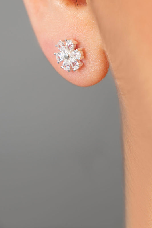 72d918870d96724c8abc76daff593dc5