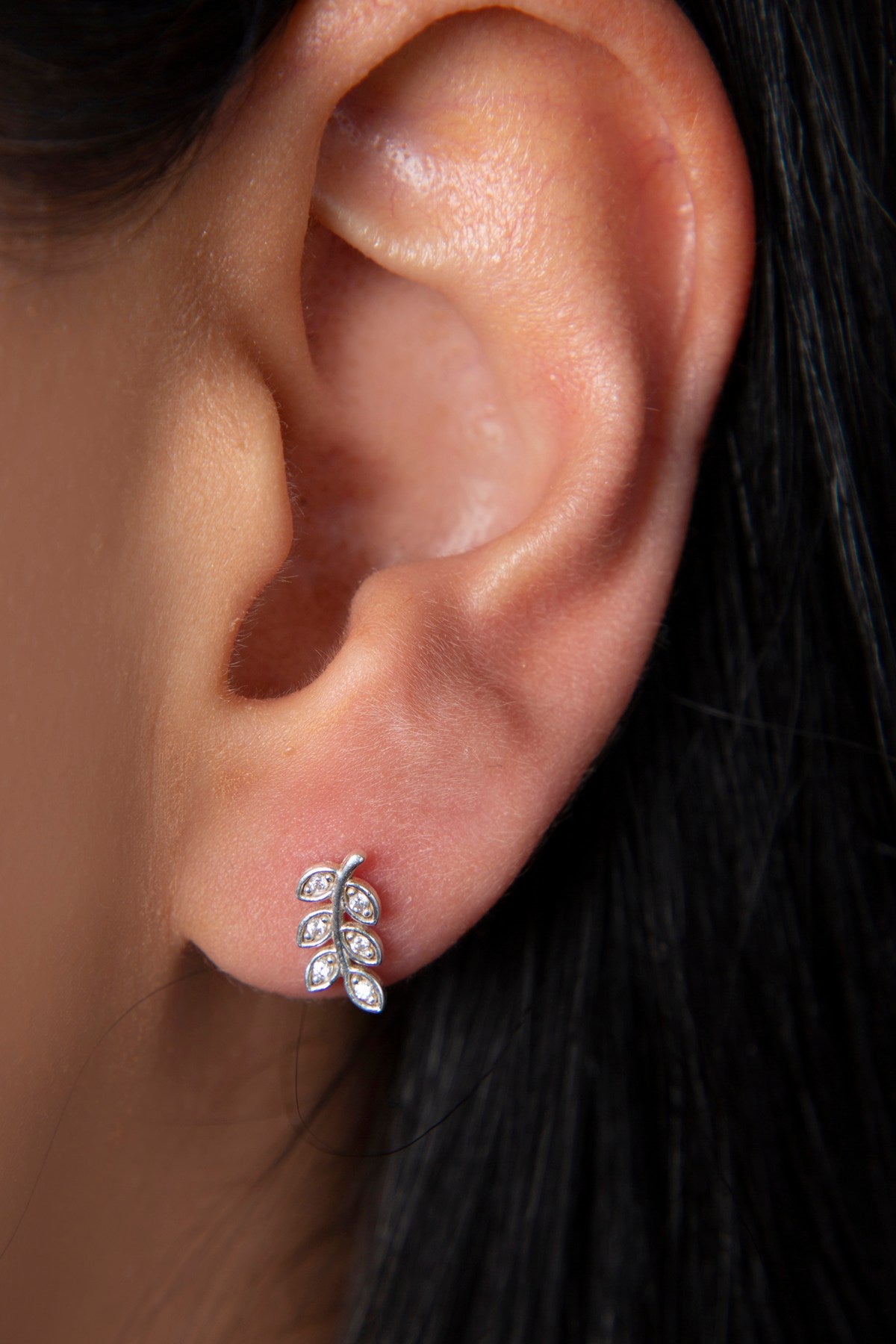 3155ac65f33bd86327a08e36c7c09444