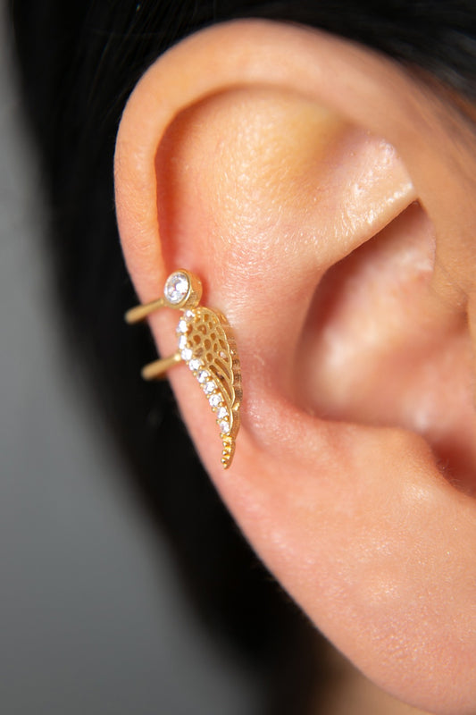 c4351955b39c79168bb1edb406950701