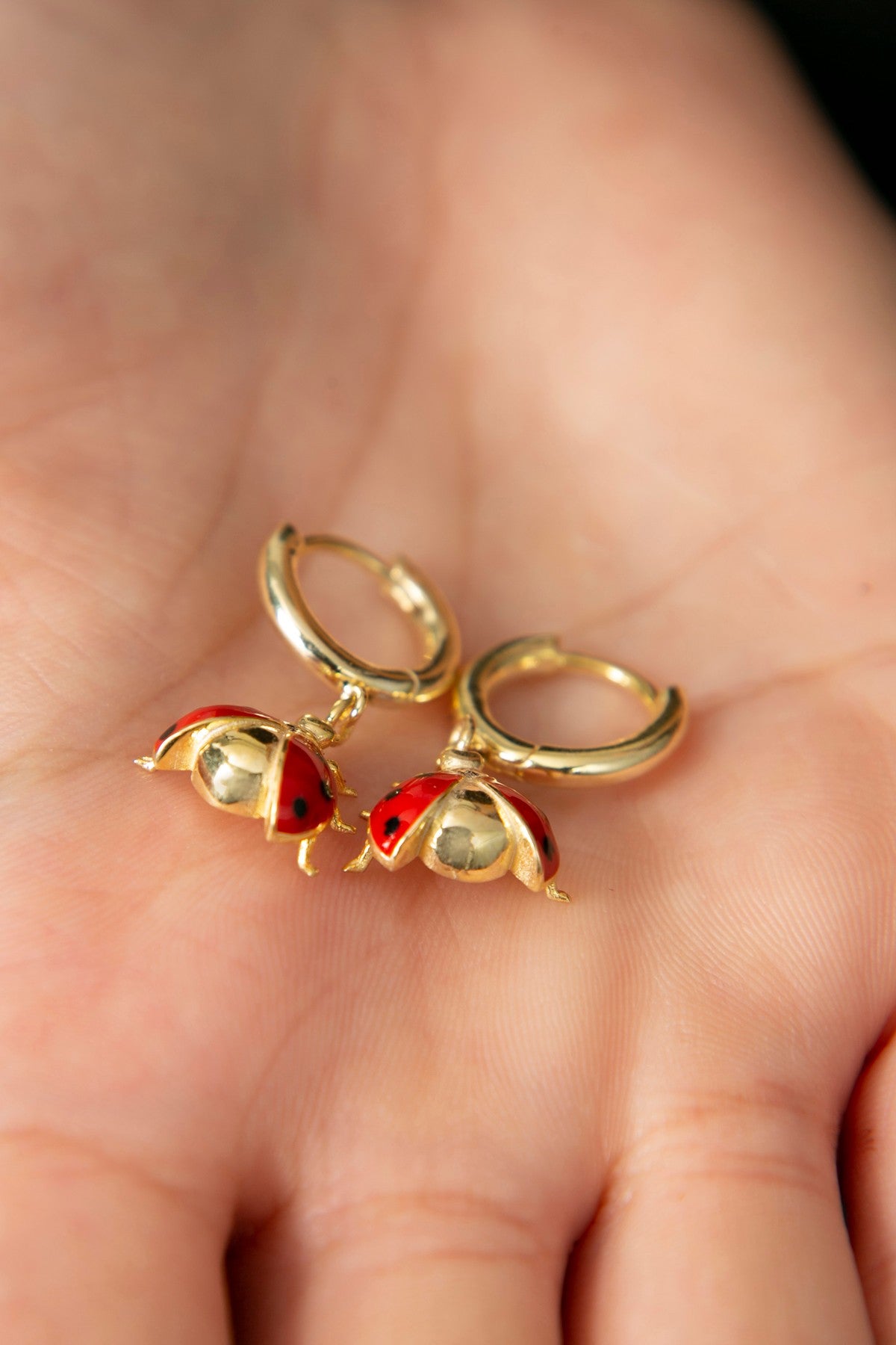 012295b91ef460cd4d146e8c10d528b8