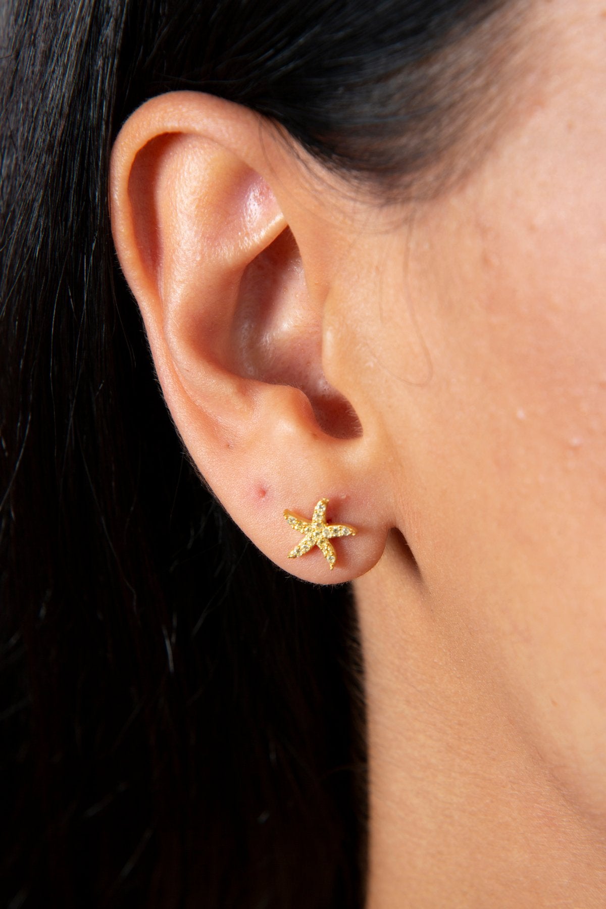 23a5f29bbba504e65b7ce5b8c0c99362