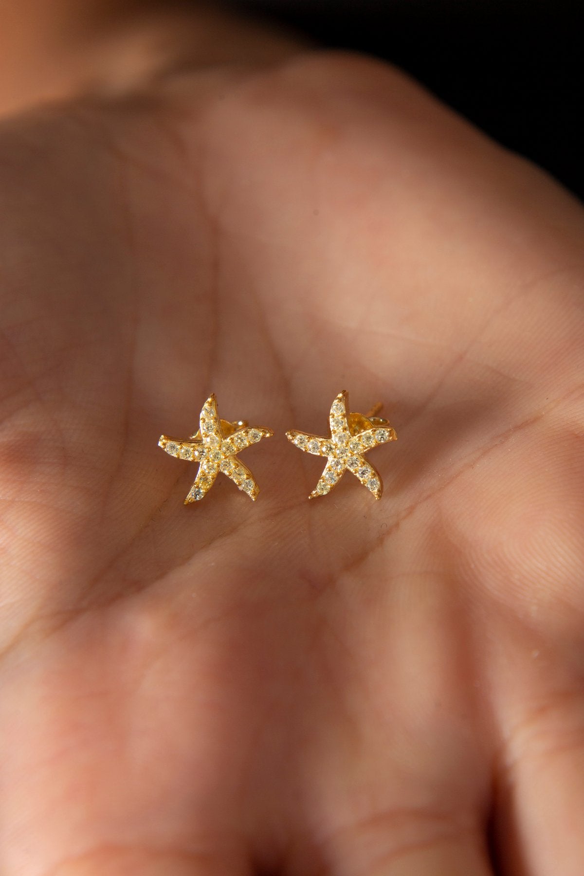 e834f54a3997a5735e987c546a787a0e