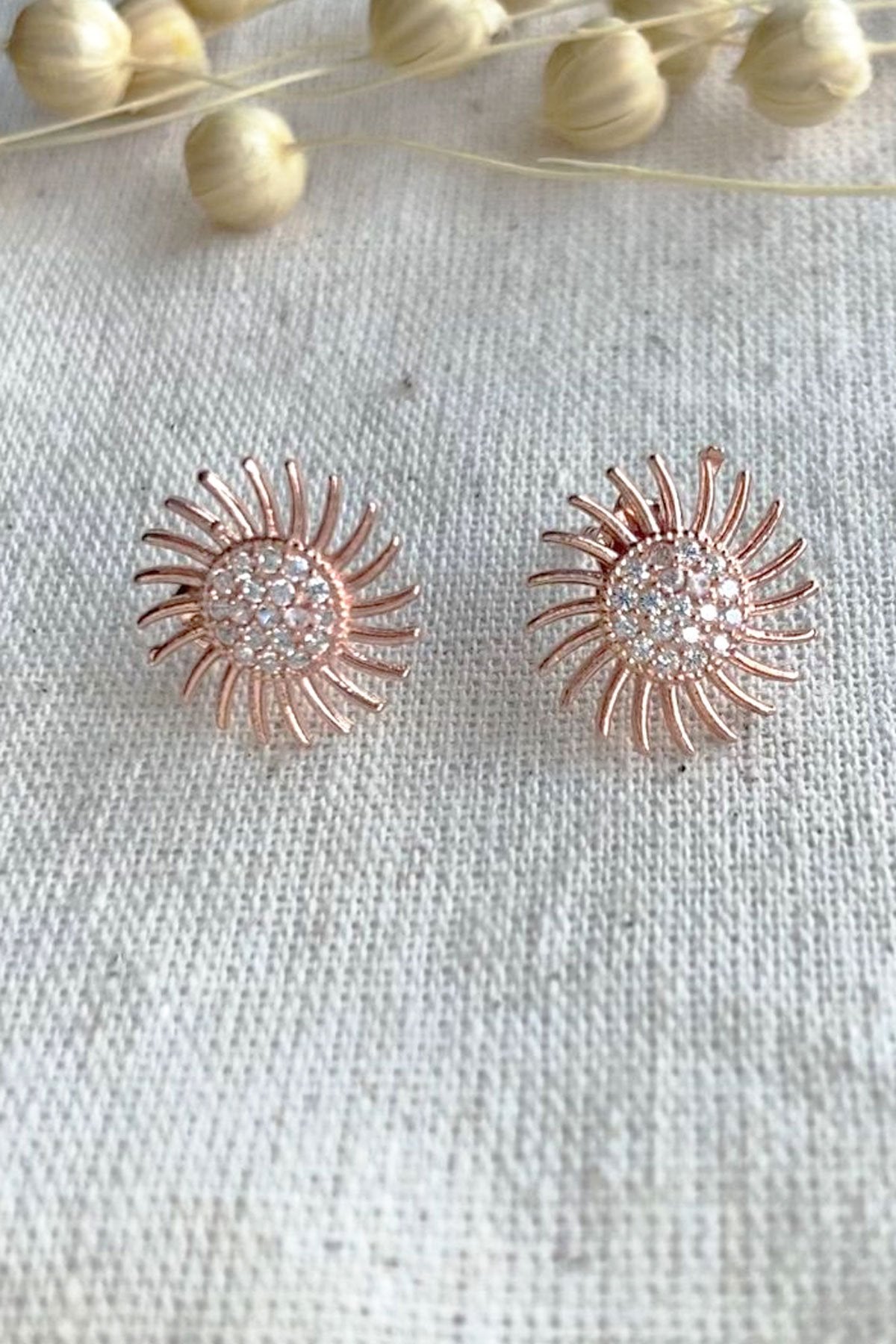 80e7e0680139ca213ad715e575527459