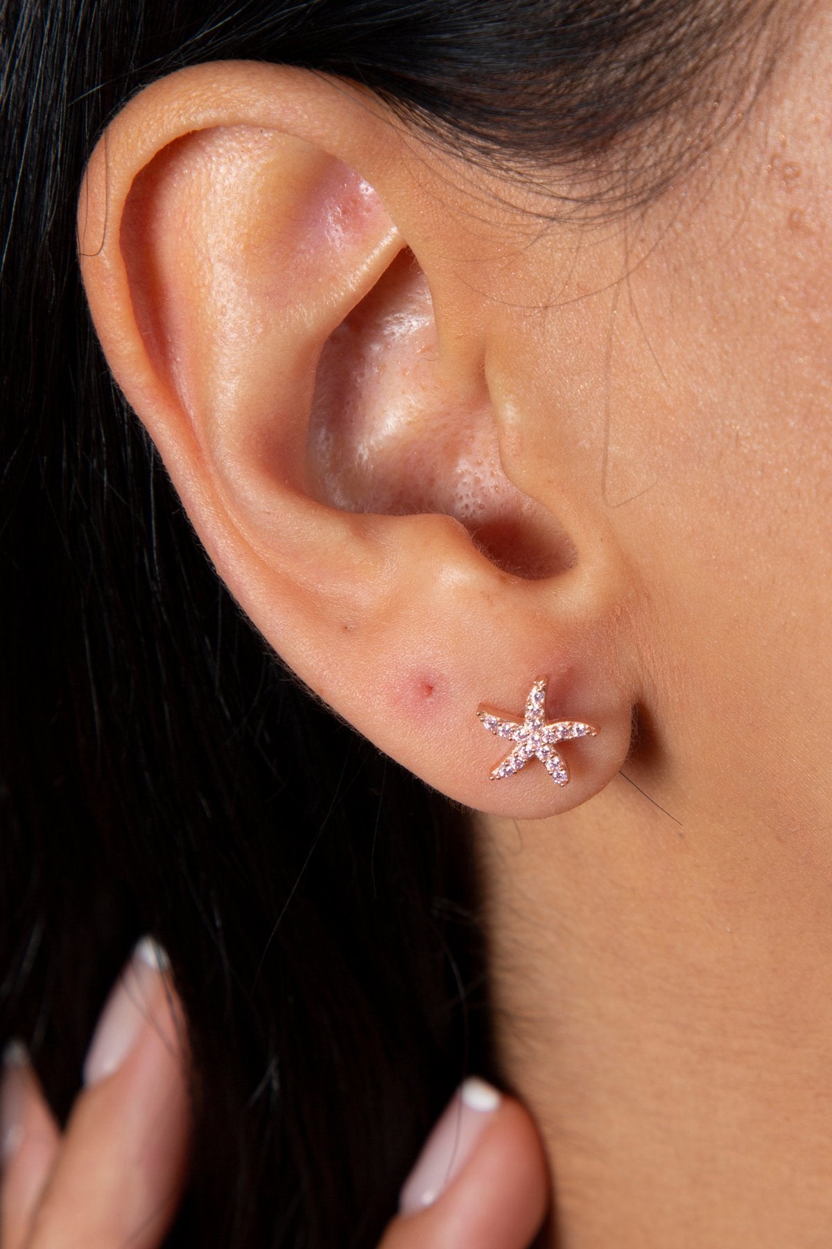 244a4b4fa3c2a369ec54e4a13b0e54e2