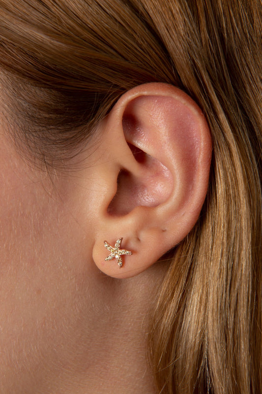 3e0d428b24a426cabc743d6dd1d86a73