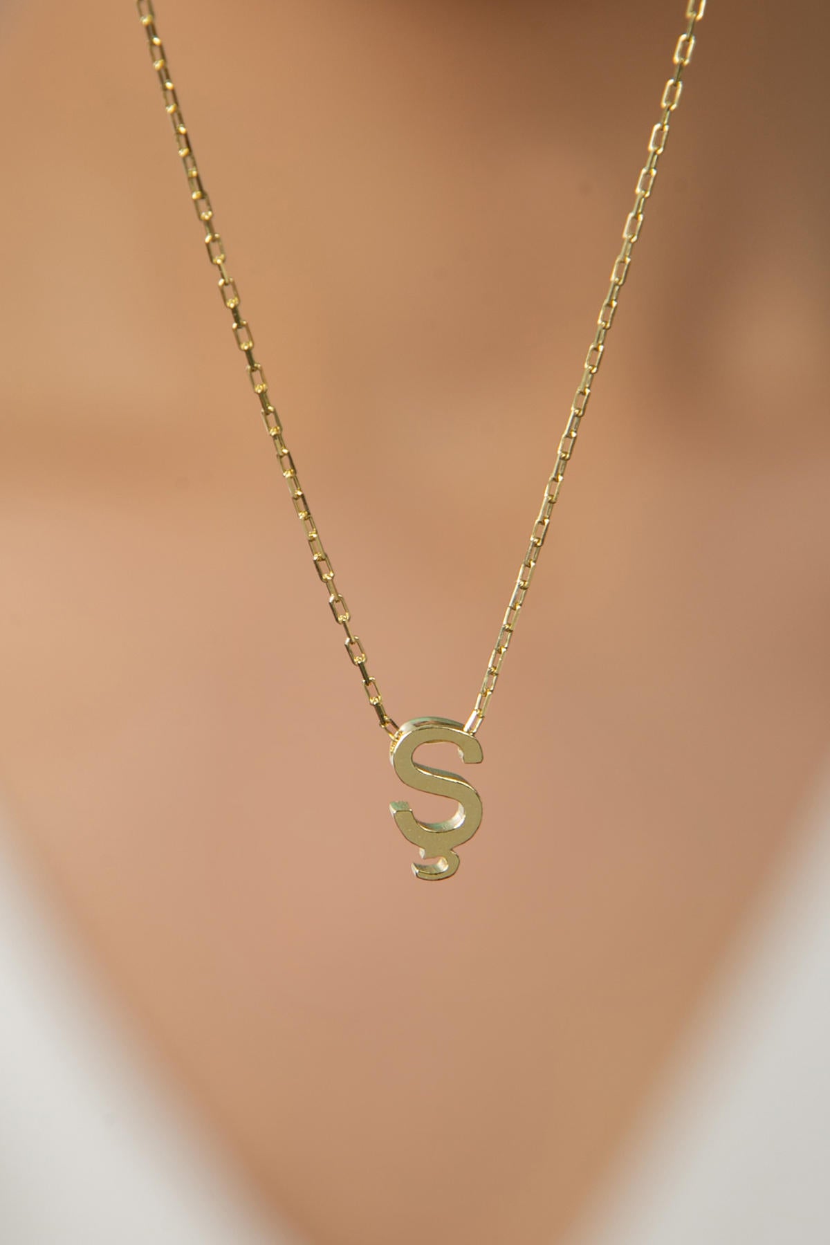 b4bc262cb444fca4ebdbff3a4e3d6816