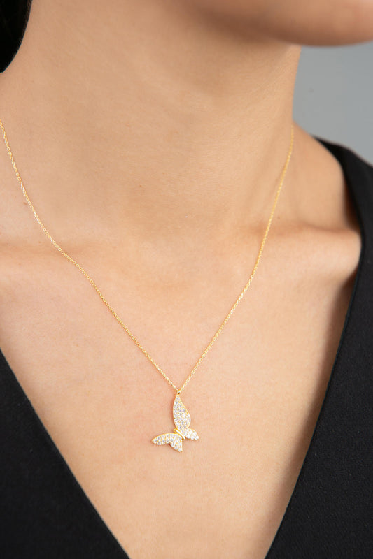 d1d2fef803b52cd5ec2a8e0a49cc2605