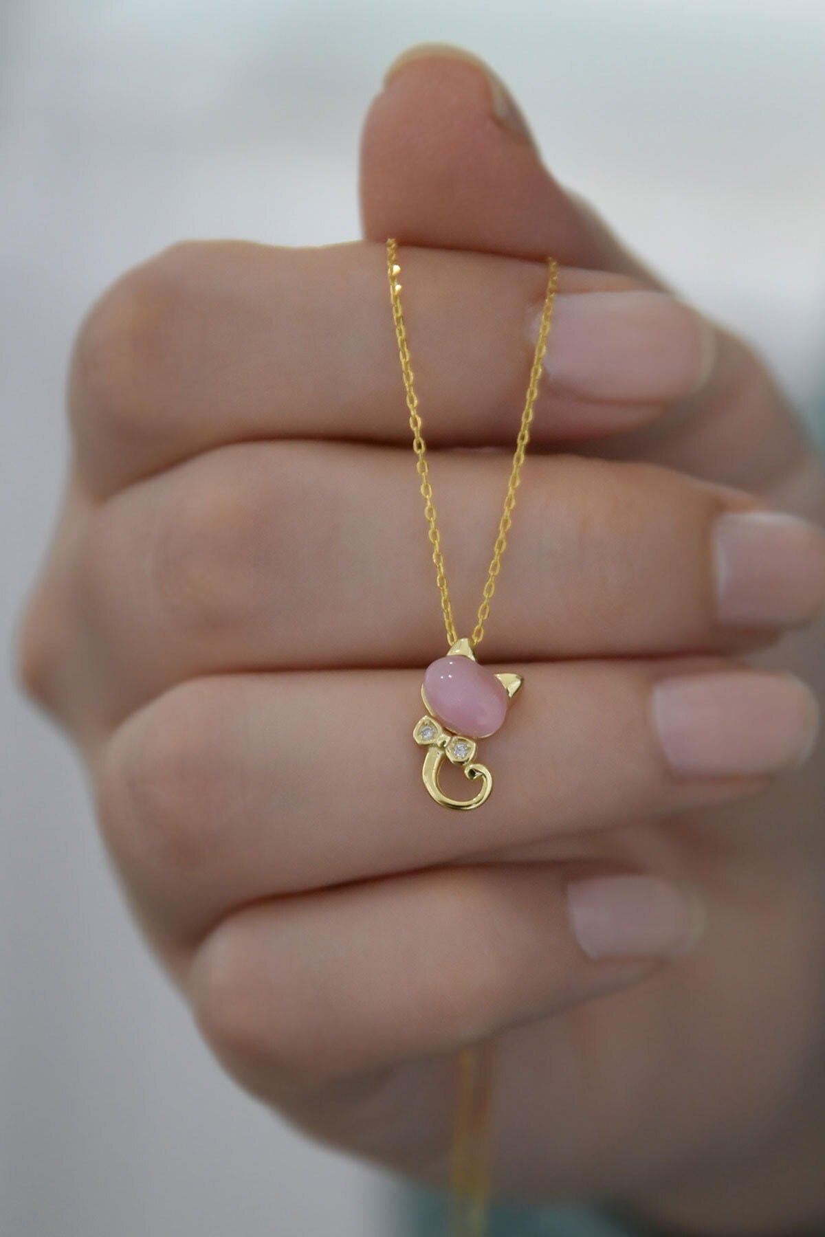 51fbdab293543736d2489c3dd82c203f