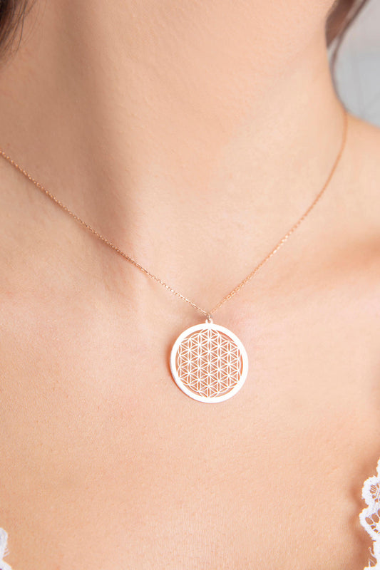 6e277210991ba87ae586d91ec8f83363