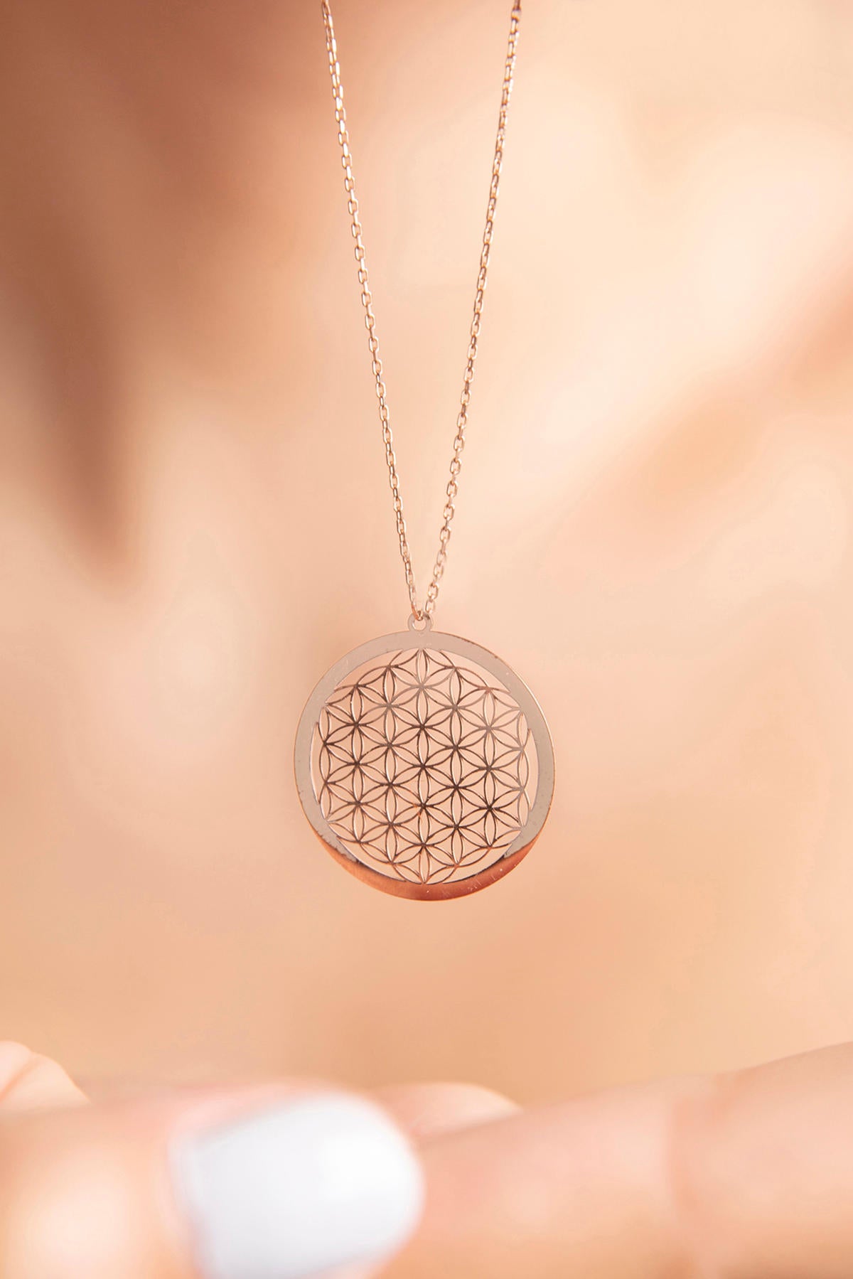 bb9309fd8c09e44c01684882ec4b95bb