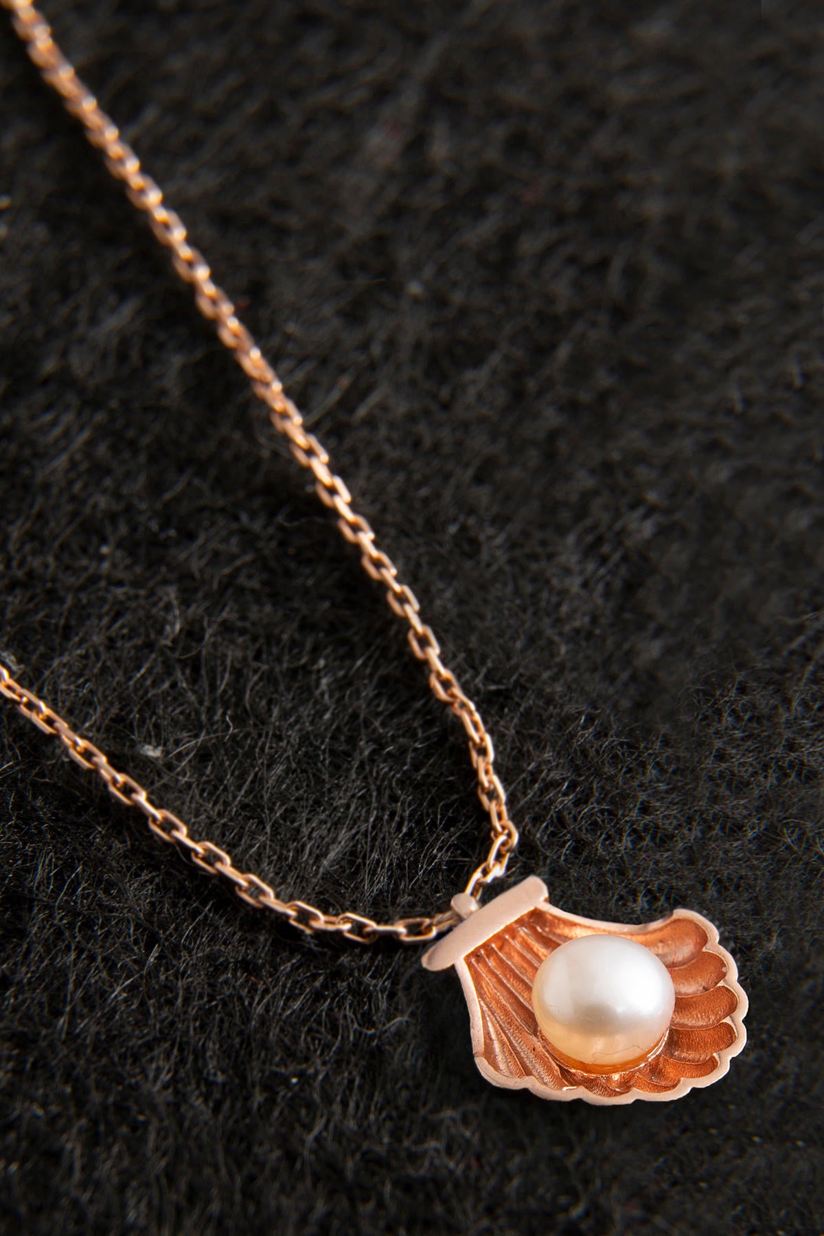 d928e4f50968dd93a7eb144a110f6247