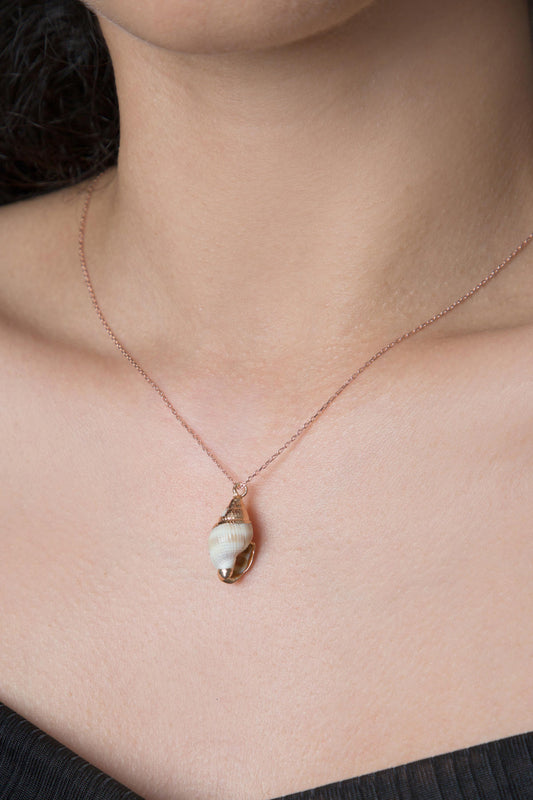 63296286fdfefbd2672ac84bb565edc5