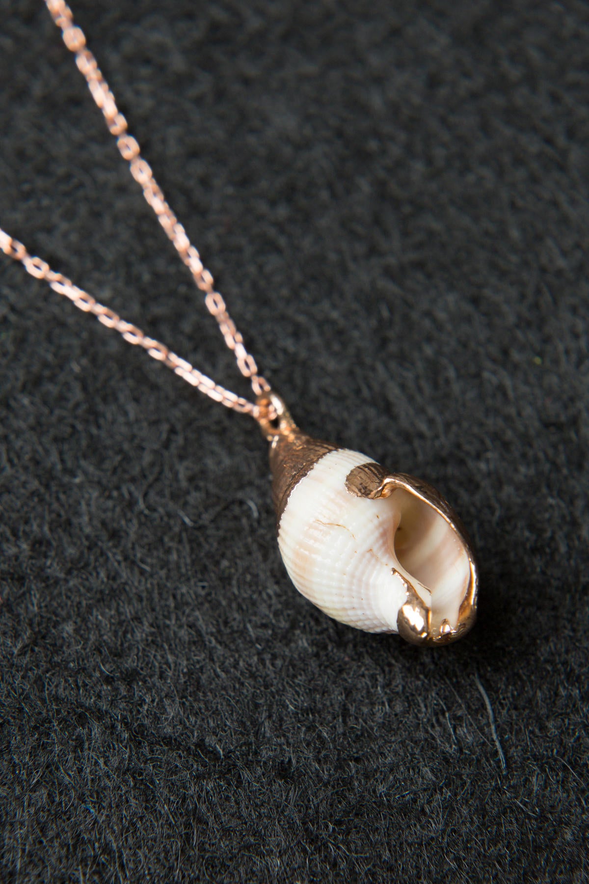 b9f631c3d4ce43e64cb828bbe8d83f90