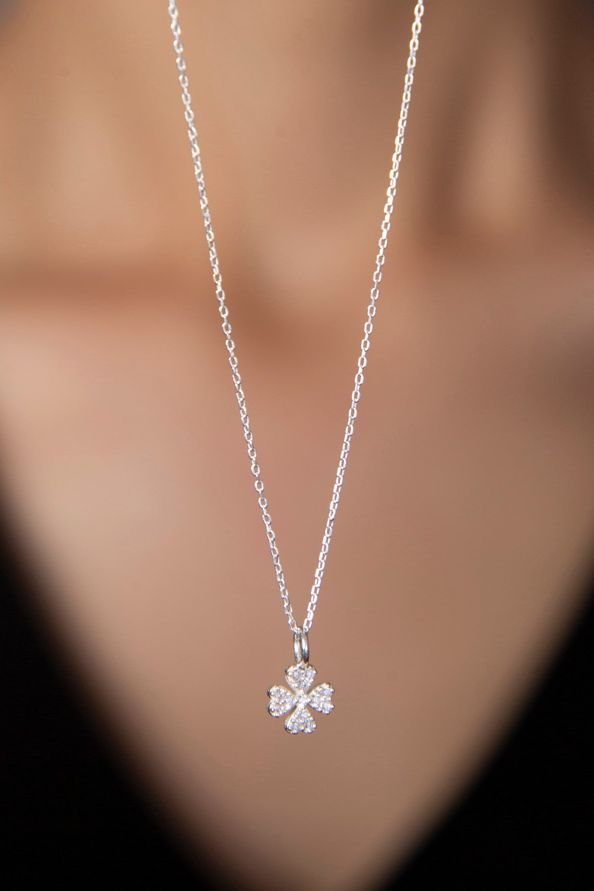 fe21b1e44195b35b4f2774cc829aca91