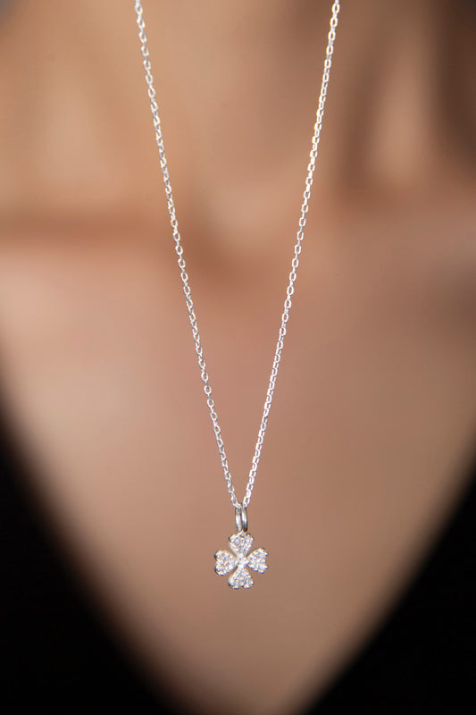 fe21b1e44195b35b4f2774cc829aca91