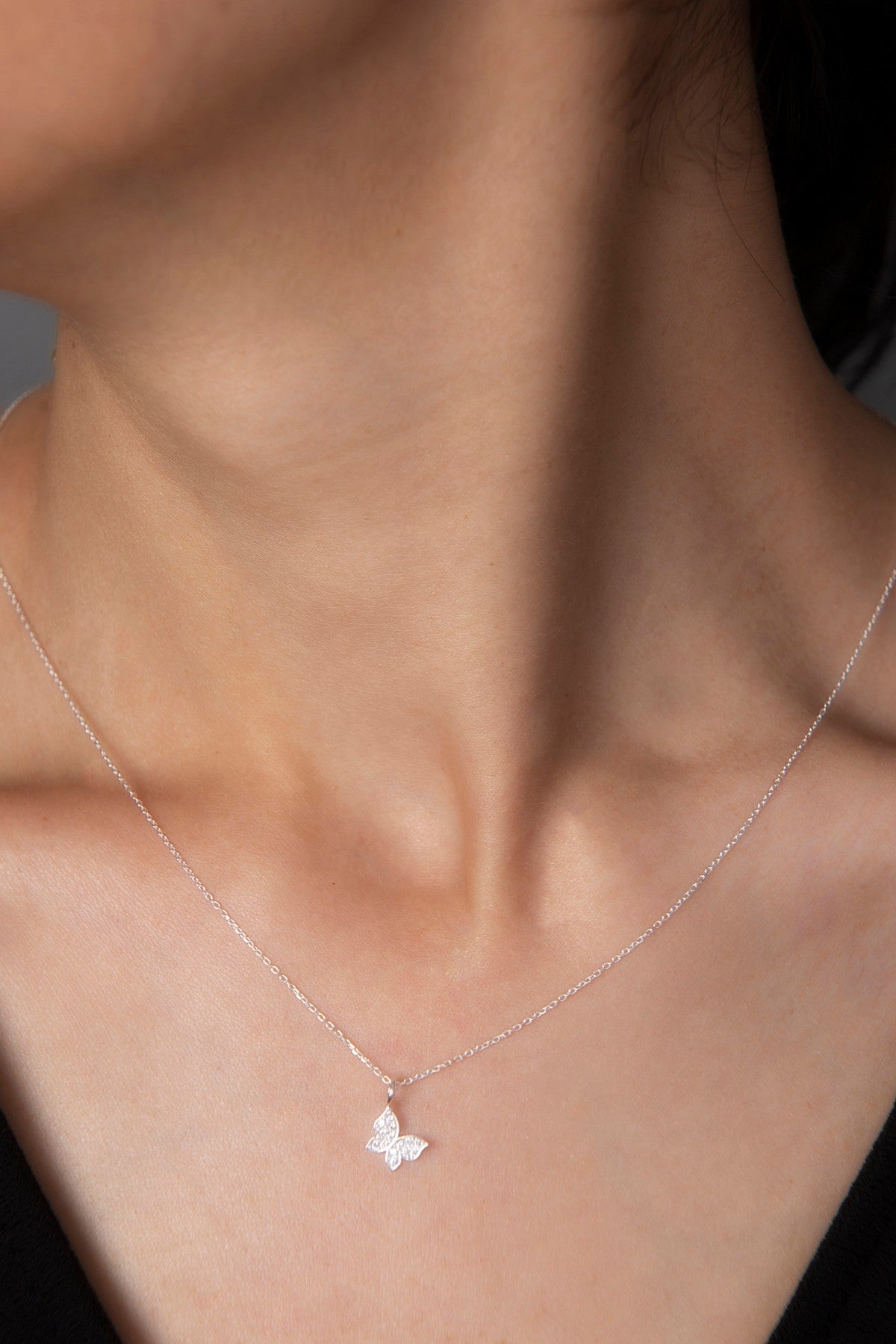 3fd8142c72468a8c52cd5ab2d3196ad6