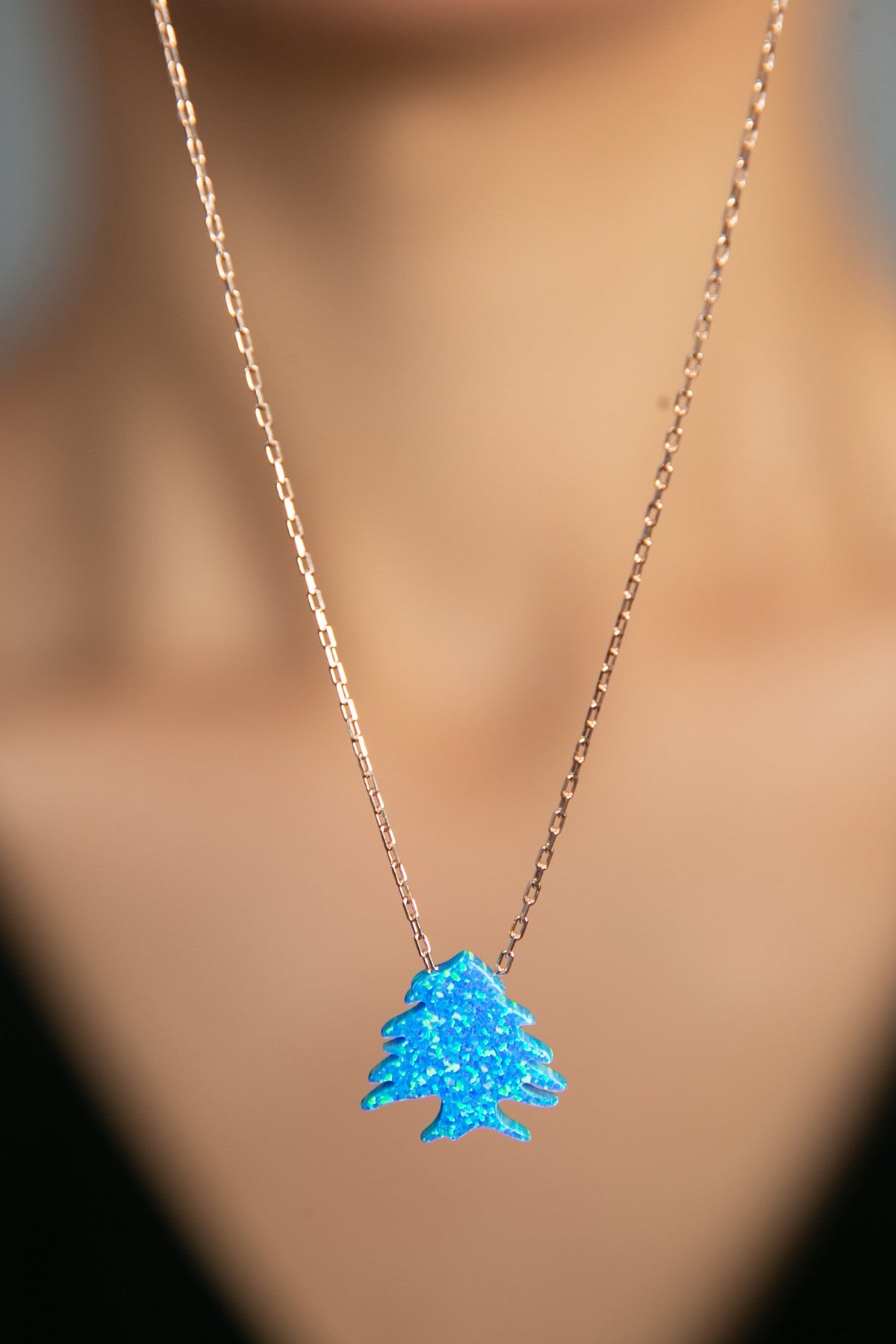 09595b103fe875f1b059dbe6ba0182e7