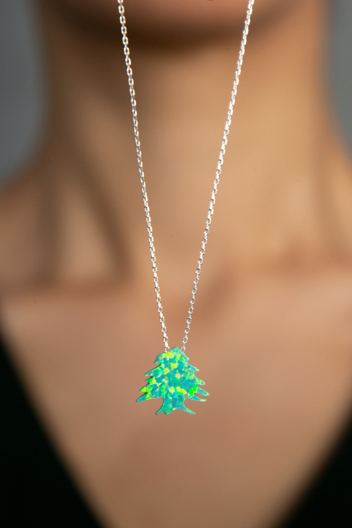 543a12ff8fc34485c96e95e3fce07e78