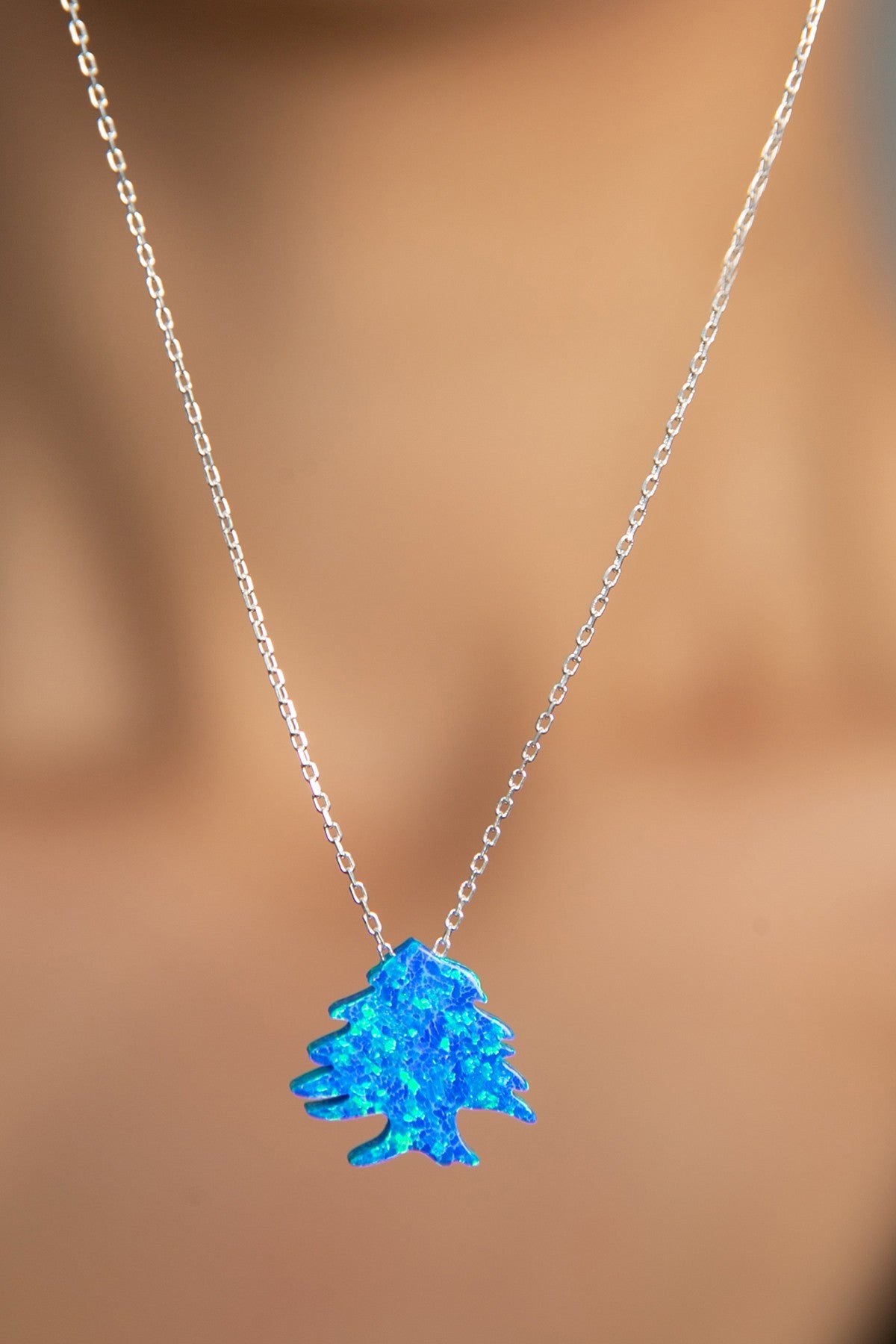 32ff04bd2afee4c972794ff0c9cf3657