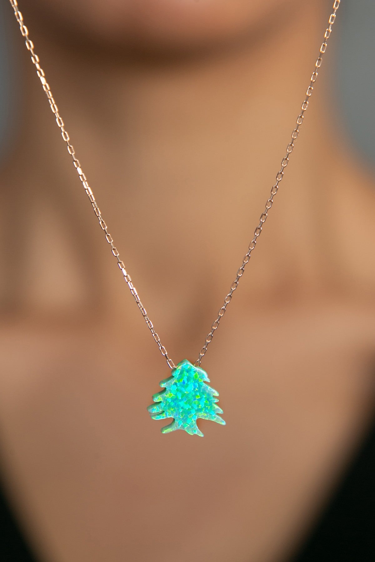 53607f17b25417d0ad5633710f174875