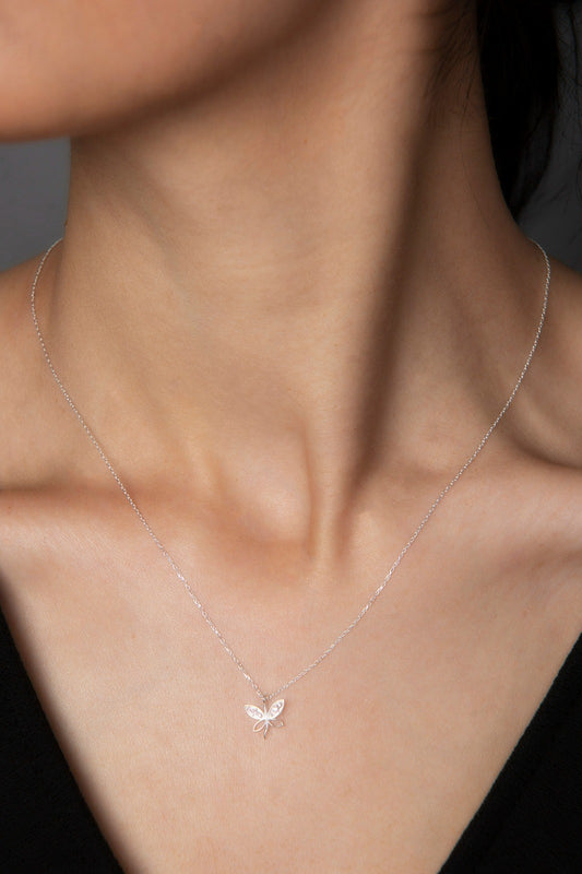 47da92dff1eaed3455b0c8fa7fc23907