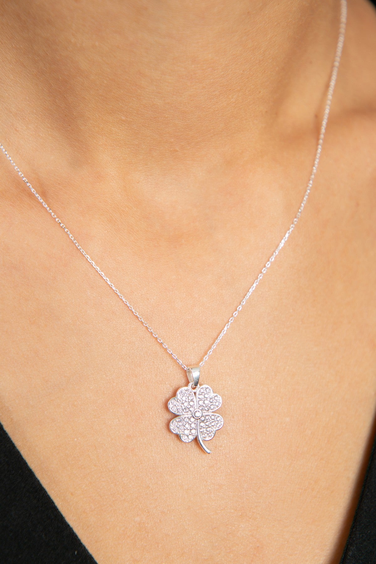 73e052f041f6e70820129105f007620e