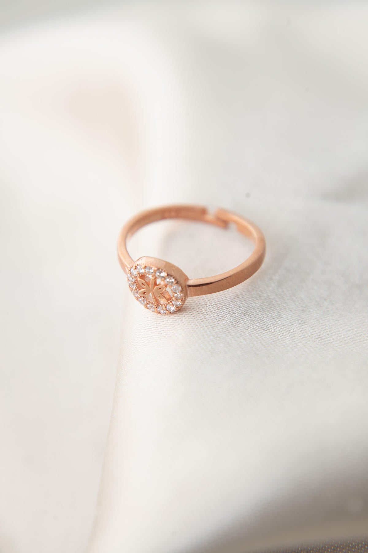 a243d37825e328efc6af033a74d214ae