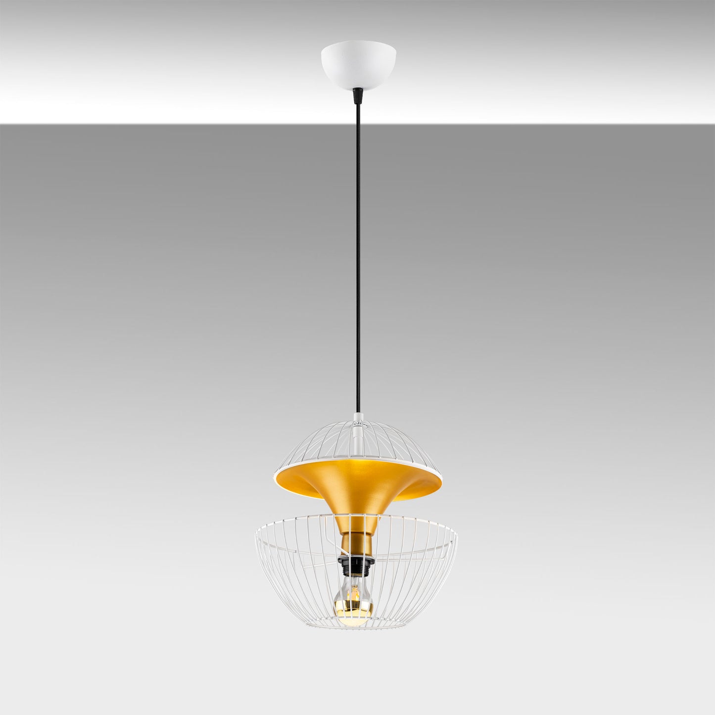 1a255436add9a1cd060dcdc8e846d6df