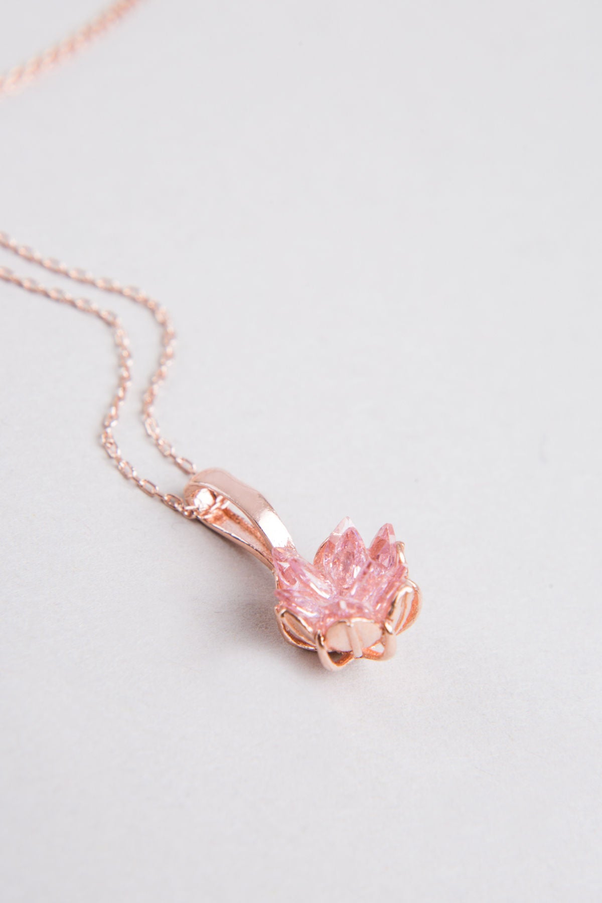 e582ec893a8cb43f61f2a6050c33a543