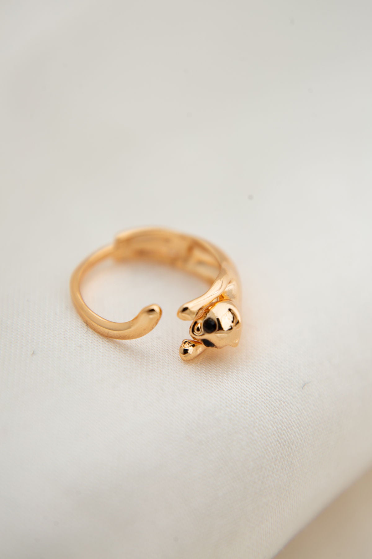 a0e1438cf4ded3eb2c1dde000c14cec6