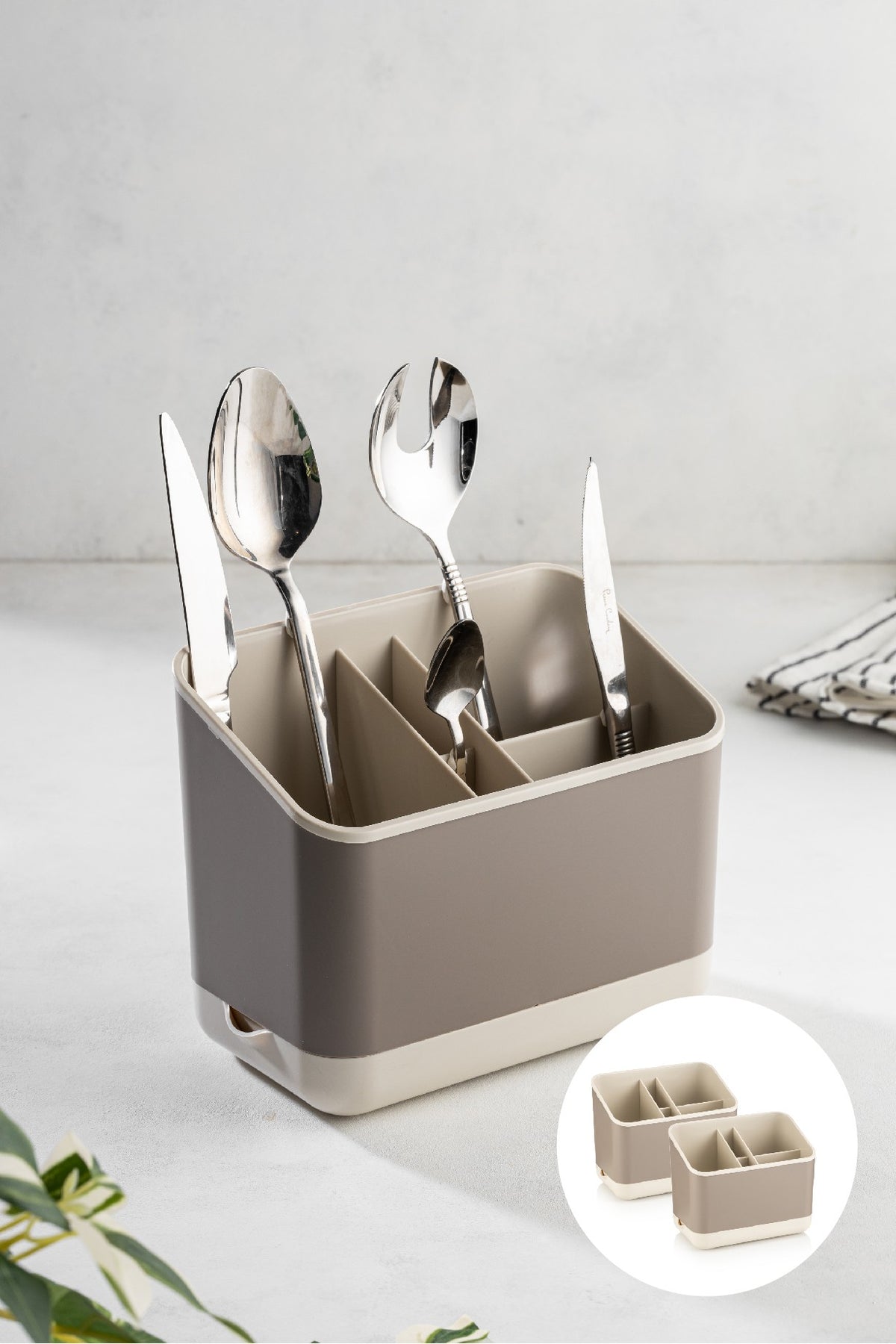 Organizator AUTUMN