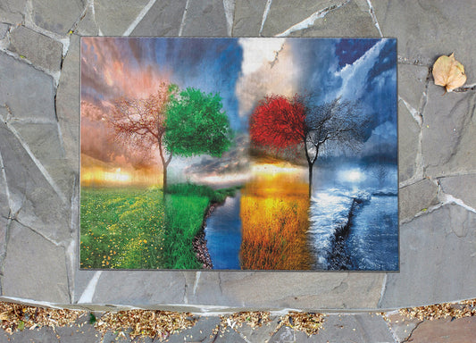 785e9d5a83311a352e30108e4c425a6a