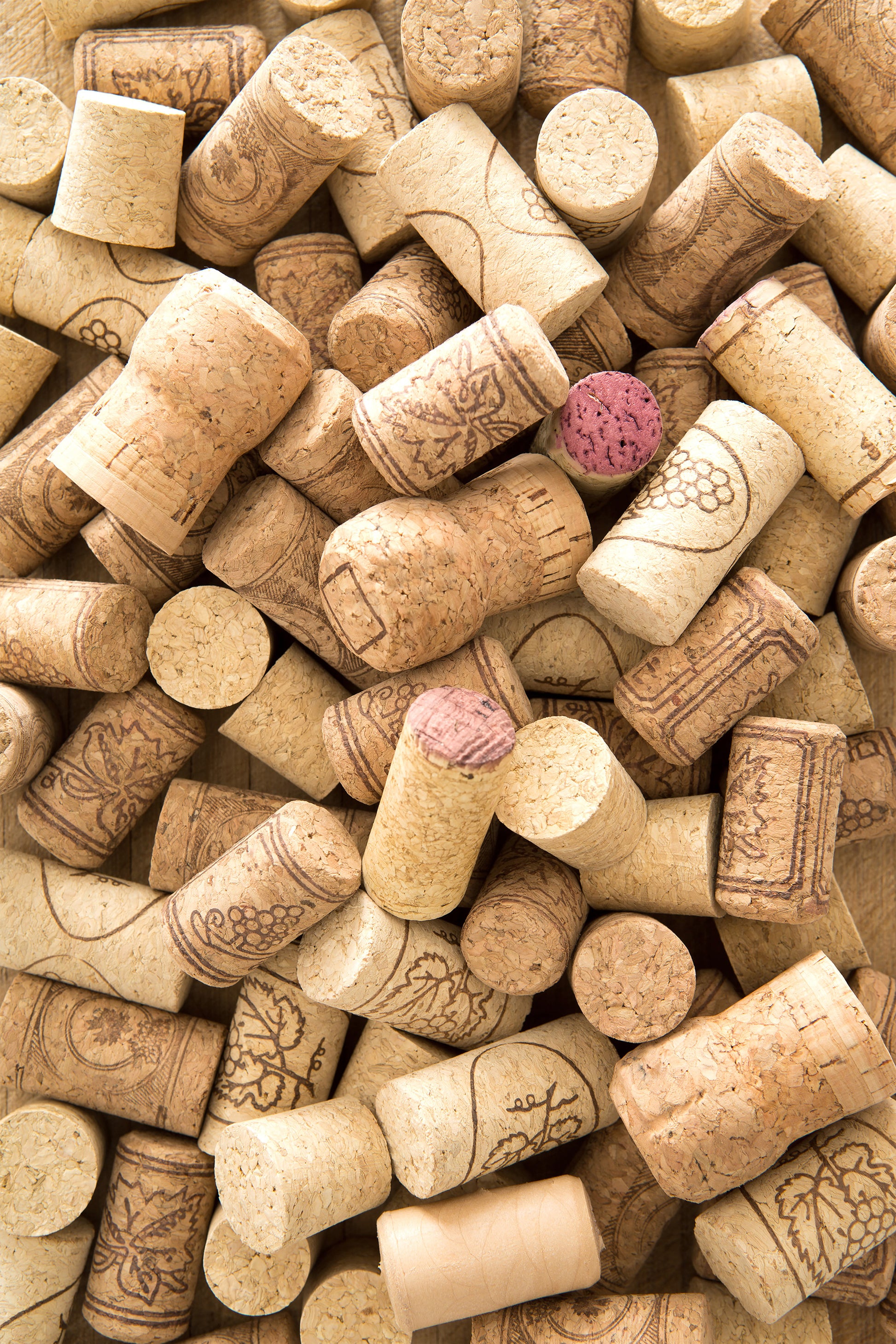 18b11e9c4f186c513ee9a047b6df3975