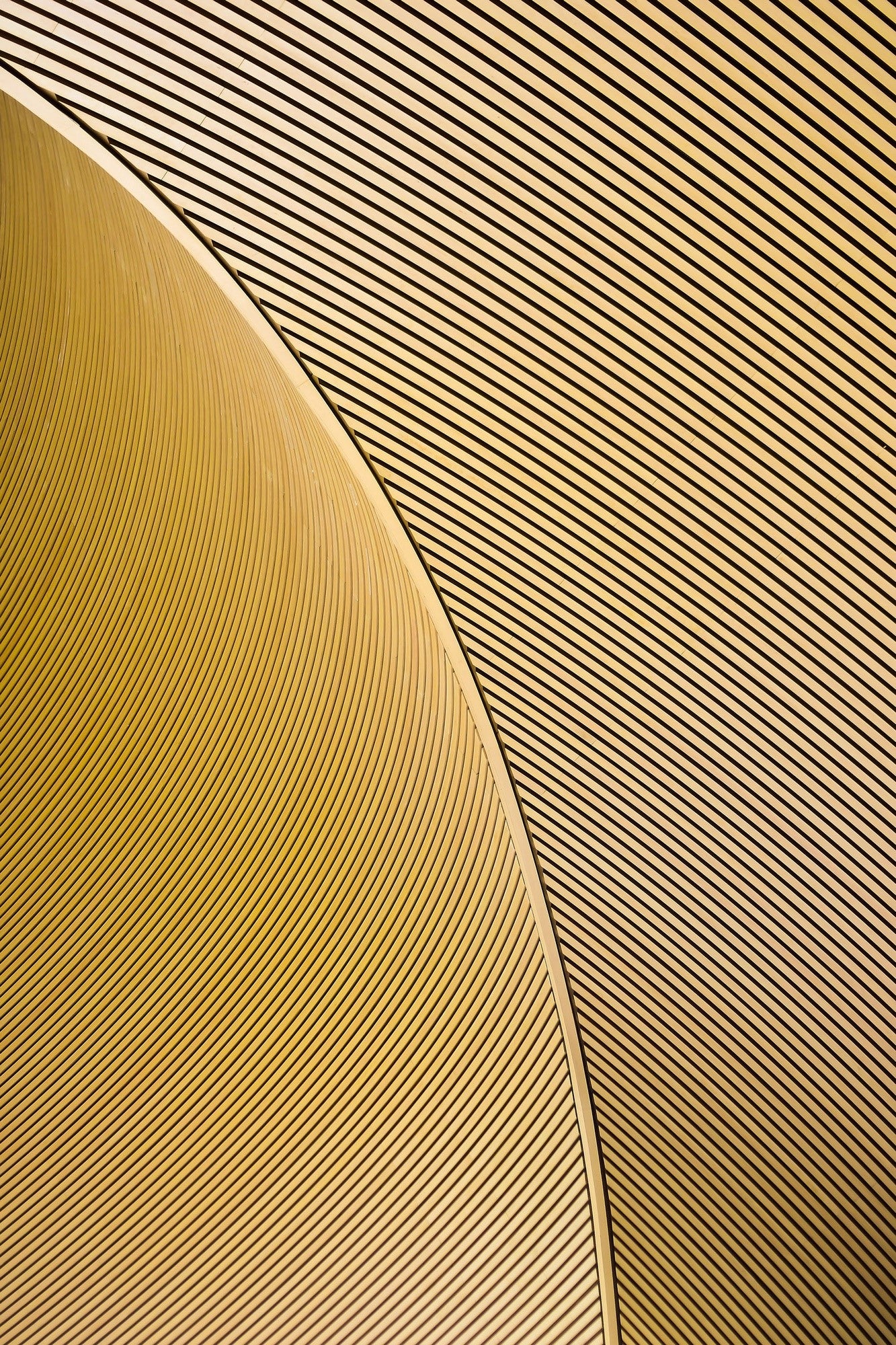 aeca69616ee2e06be093966d53b797ca