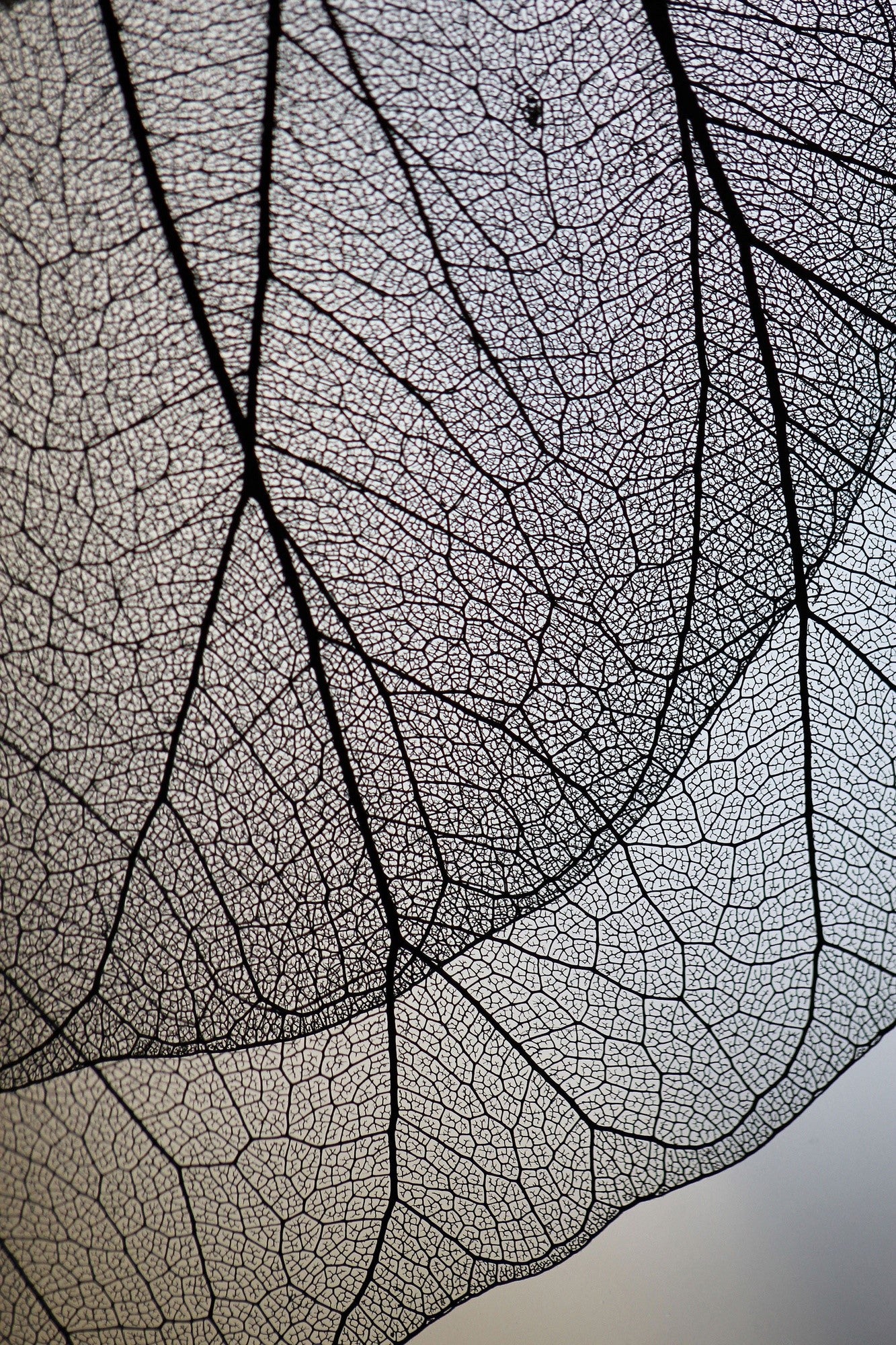 7f0da90d38a58243dc26231b37431d59