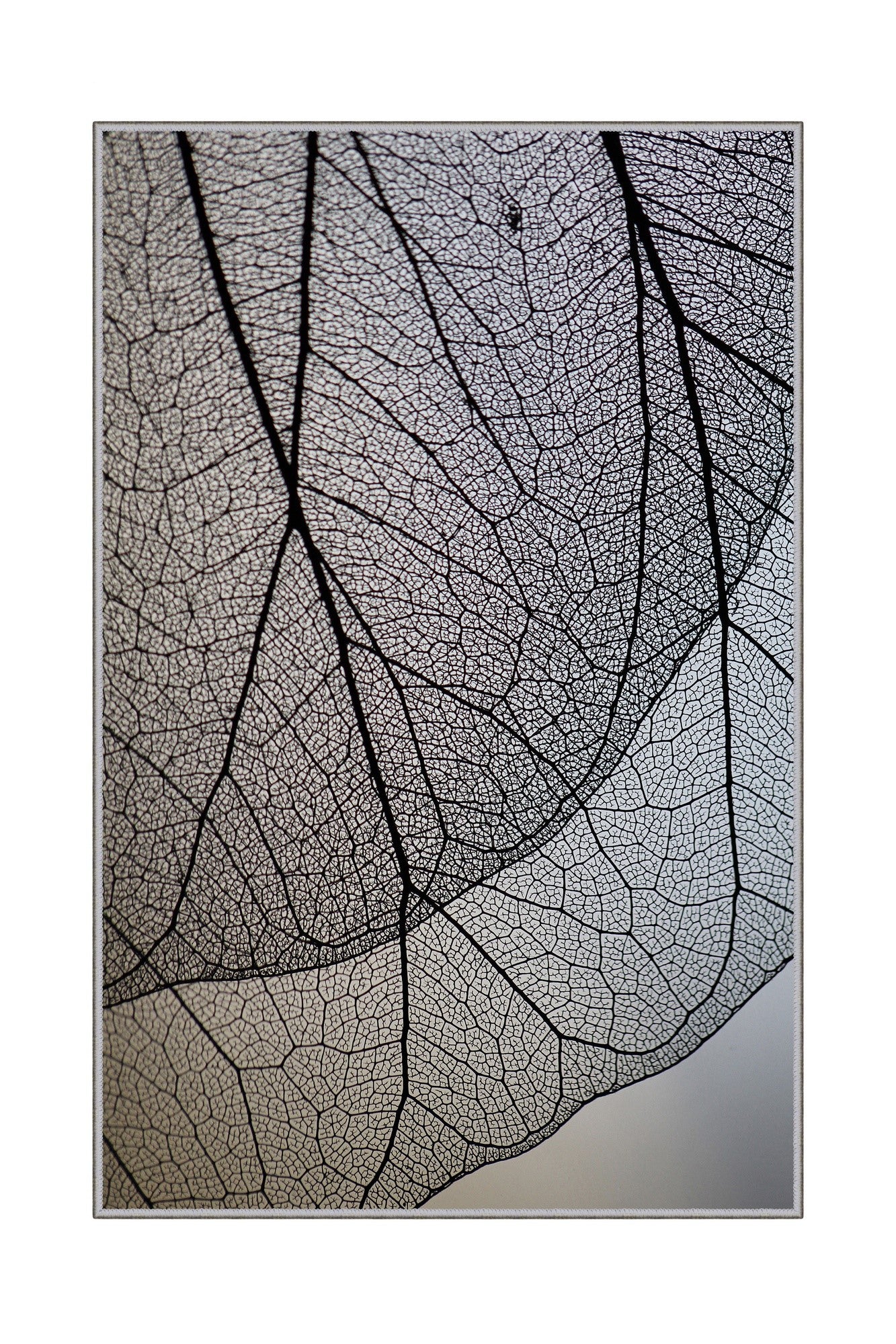 98c6f1c4c9c101dba30df38427af0a32